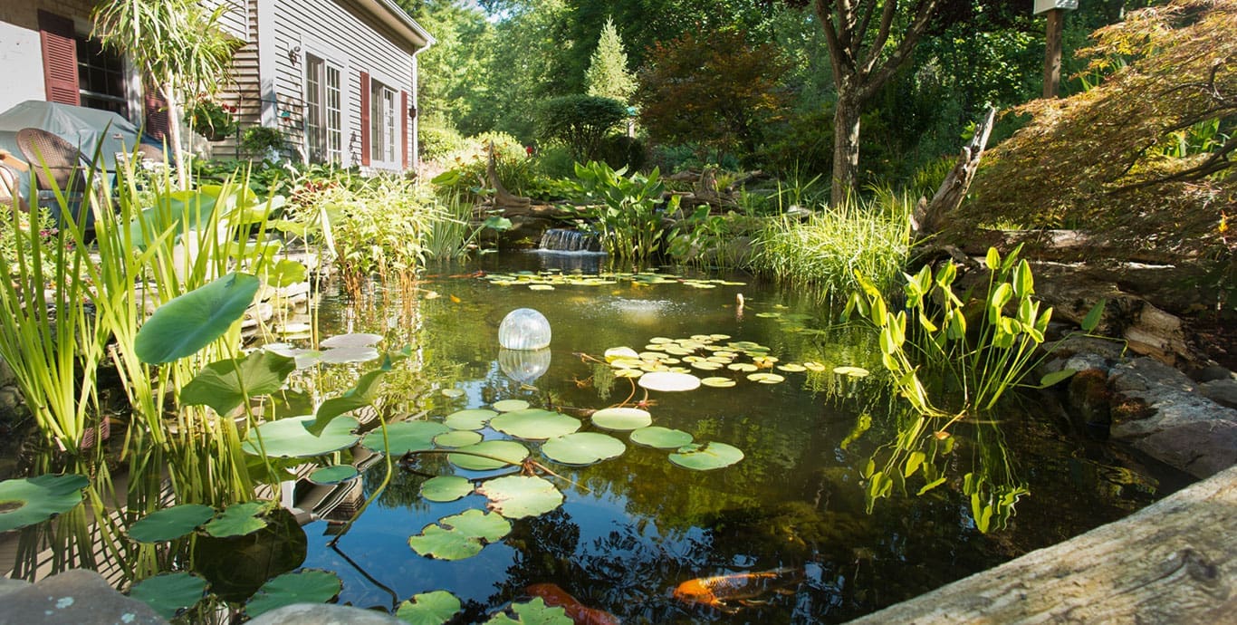 Ponds, pondless water features, fountainscapes, and high-end aquatic landscaping for Massachusetts and beyond