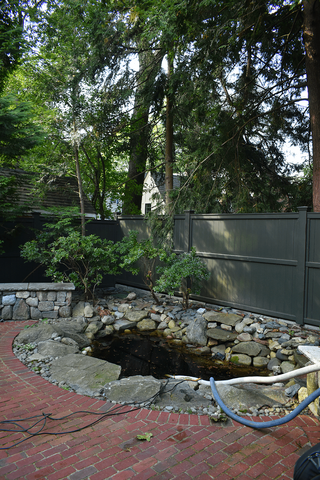 Pond Detail