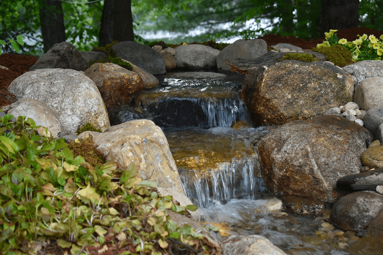 Water Feature