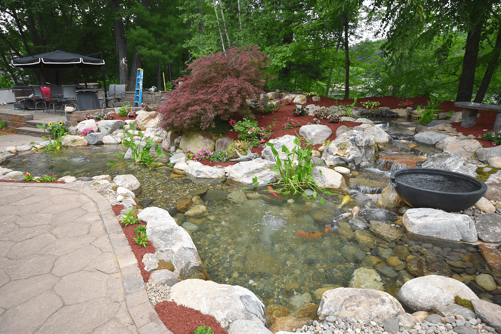 Pond Overview