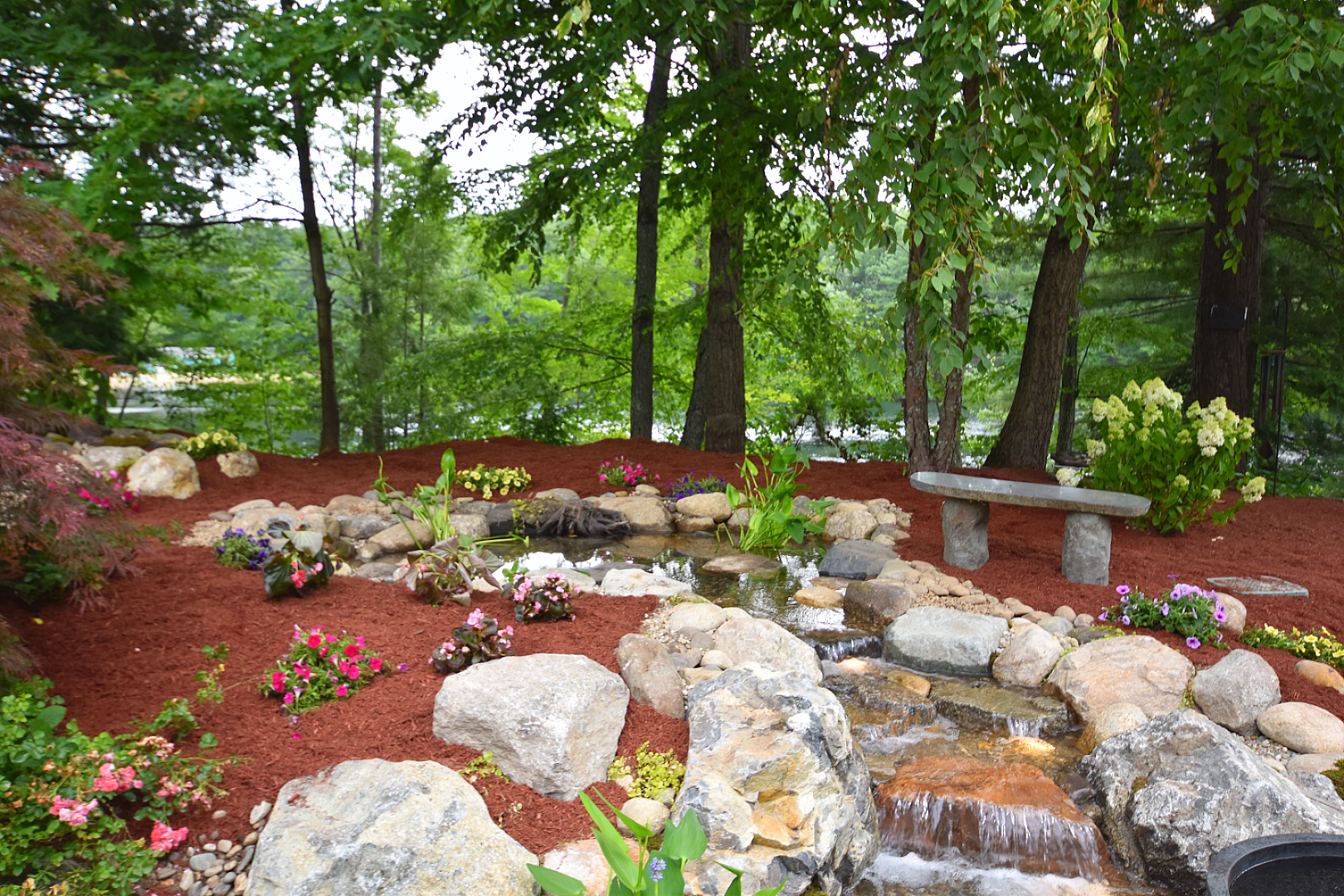 Pond Detail